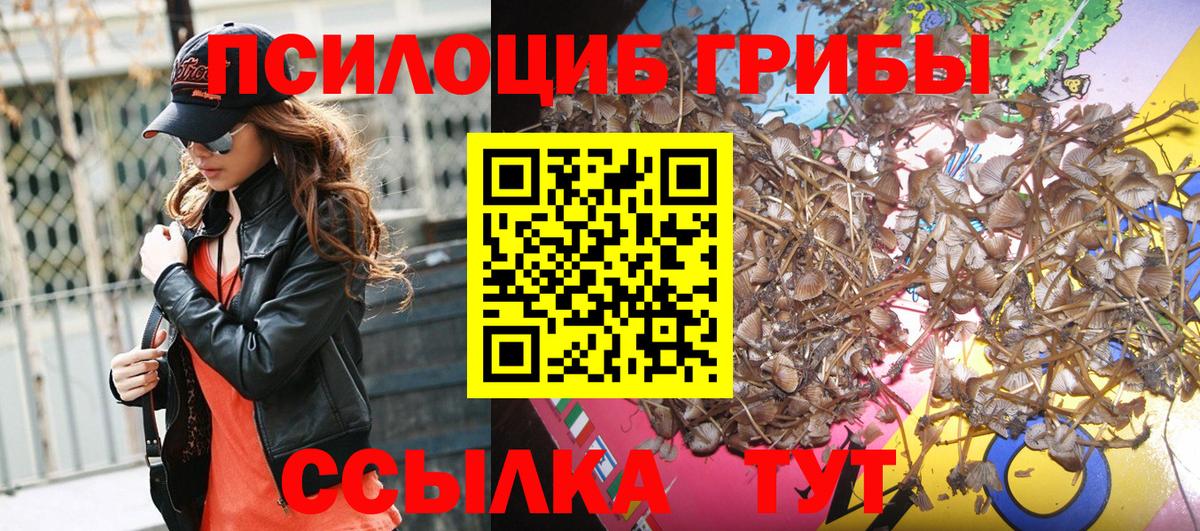 Галлюциногенные грибы мухоморы Белогорск