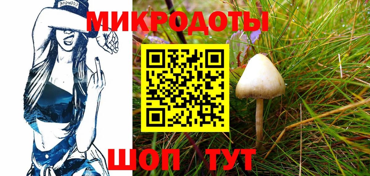 Галлюциногенные грибы прущие грибы  Псилоцибиновые грибы GOLDEN TEACHER  Белогорск  Вход с VPN 